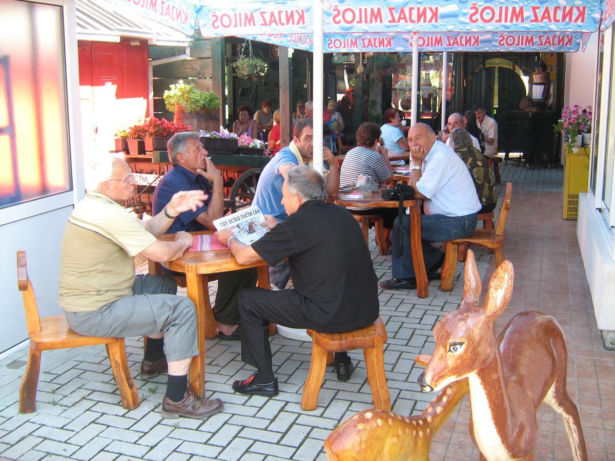 Sobe Za Izdavanje Blef Ovcar Banja Exterior photo